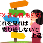 【FX初心者勉強法】これを見れば寄り道しないで上達