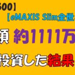 【投資信託】総額約1111万投資した結果(S&P500/eMAXIS Slim全世界株式/NASDAQ100)