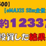 【投資信託】総額約1233万投資した結果(S&P500/eMAXIS Slim全世界株式/NASDAQ100)