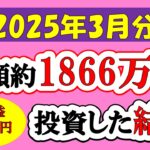 【新NISA】総額約1866万投資した結果(2025年3月/S&P500/eMAXIS Slim全世界株式/NASDAQ100)